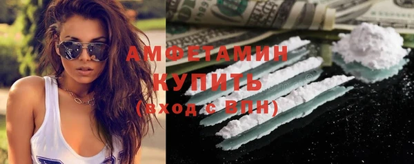 прущие грибы Бугульма