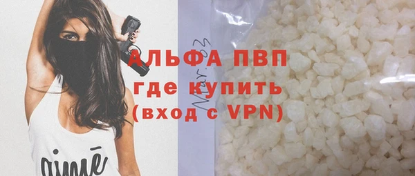 прущие грибы Бугульма