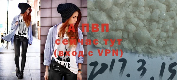 прущие грибы Бугульма